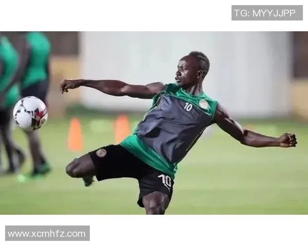 南非与塞内加尔激战在即11月11日精彩对决值得期待