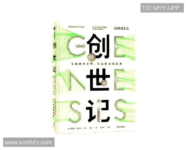 徐昕的艺术之路探索与创新在当代艺术界的影响与启示