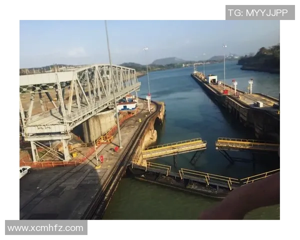 马力克的传奇旅程与奋斗精神启示我们追求梦想的勇气与坚持