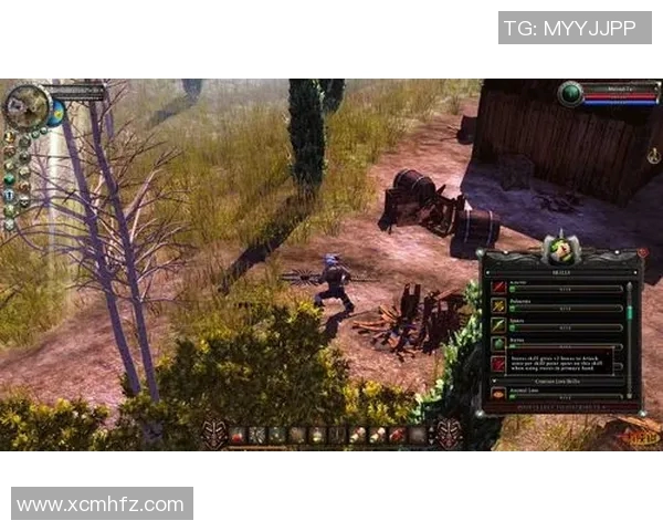 黄磊深度解析DOTA2游戏策略与心得分享，助你提升游戏水平