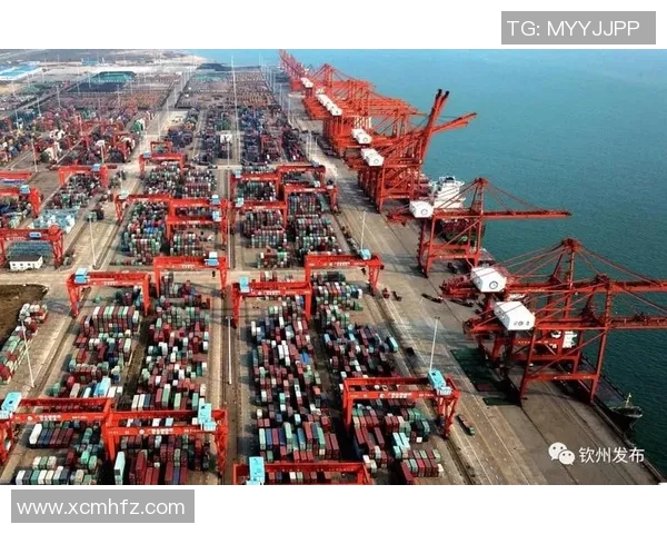 上海与深圳的城市魅力对比探讨未来发展潜力与机遇 上海与深圳的城市魅力对比探讨未来发展潜力与机遇